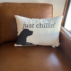 12” X 20” Pottery Barn outdoor throw pillow NWT